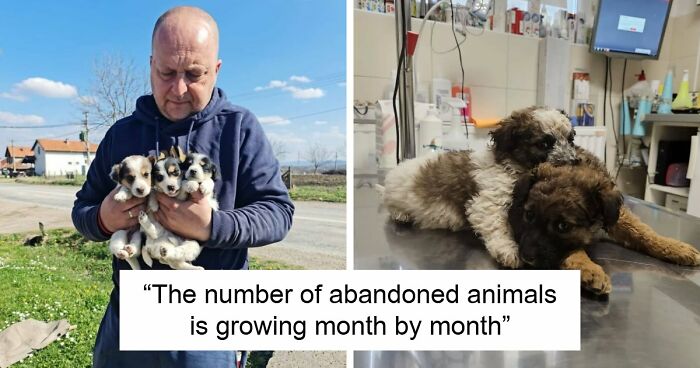 Inside Serbia’s Largest Shelter, A Small Team Is Caring For Over A Thousand Animals (37 Pics)