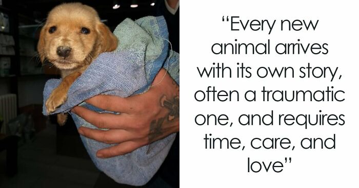 A Small Team Is Caring For 1,700+ Abandoned And Rescued Animals In Serbia’s Largest Shelter (37 Pics)