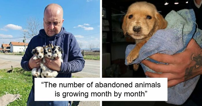 These Puppies And Dogs Were Abandoned, Now A Small Team Of Shelter Volunteers Is Keeping Them Safe (37 Pics)