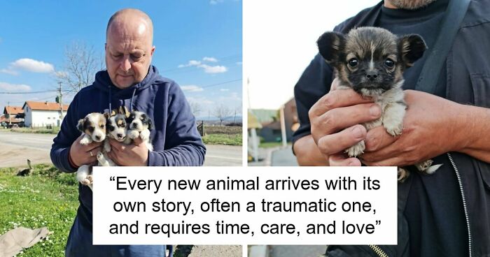 Inside Serbia’s Largest Shelter, A Small Team Is Caring For Over A Thousand Animals (37 Pics)