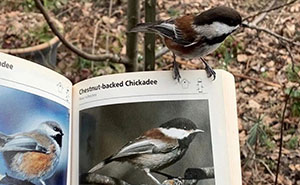 This Online Group Shares Positive Pics And These 47 Might Be The Reason You Smile Today (New Pics)