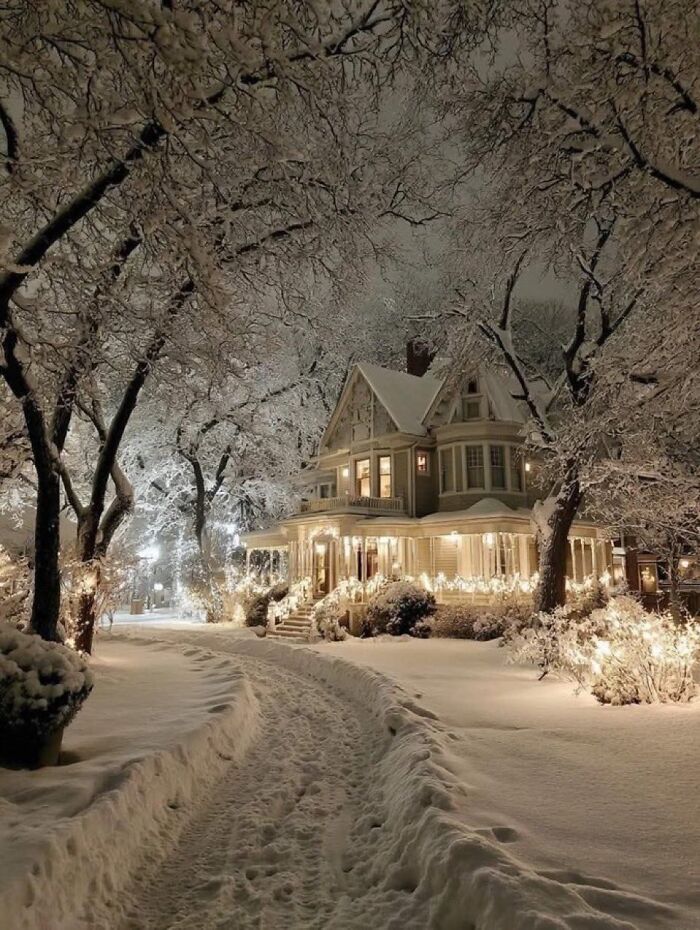 Cozy winter scene of a snow-covered house and trees illuminated by warm lights on a tranquil snowy evening.