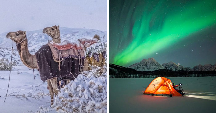 80 Cozy Images Of This Year’s Winter To Enjoy Without Stepping Into The Cold