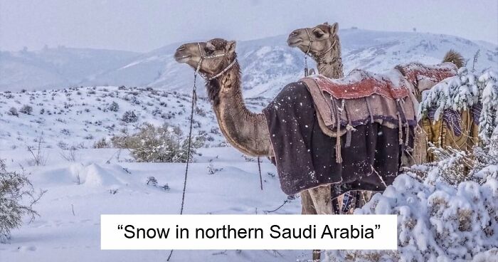 80 Beautiful Landscapes And Cityscapes Of This Winter Are Unmatched