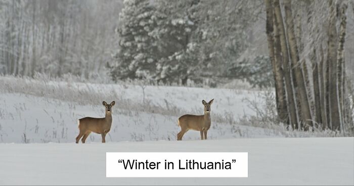 80 Beautiful Landscapes And Cityscapes Of This Winter Are Unmatched