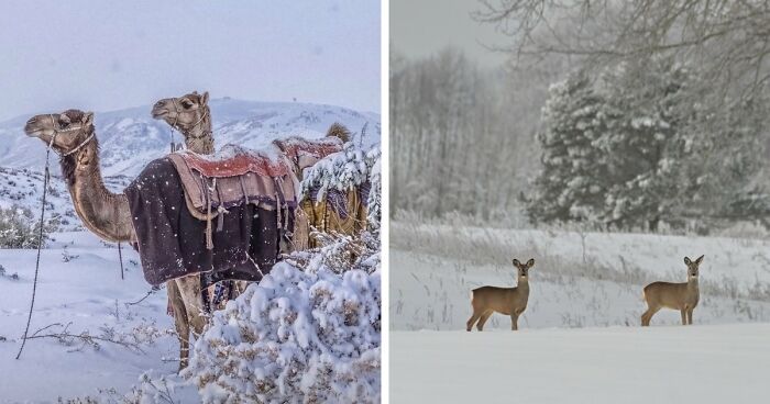 80 Beautiful Landscapes And Cityscapes Of This Winter Are Unmatched