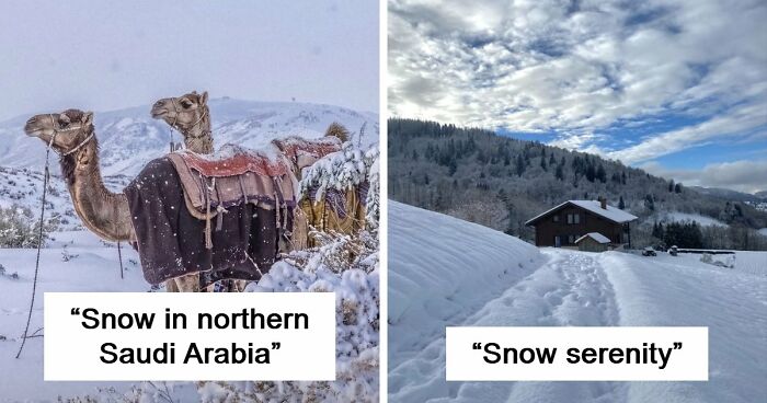 80 Cozy Images Of This Year’s Winter To Enjoy Without Stepping Into The Cold