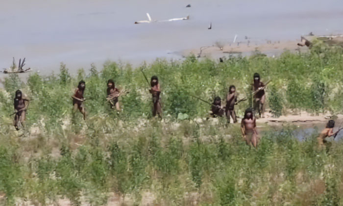 Uncontacted Amazonian tribe members standing by riverbank in dense greenery, captured in rare footage. Uncontacted Amazonian tribe members standing by riverbank in dense greenery, captured in rare footage.