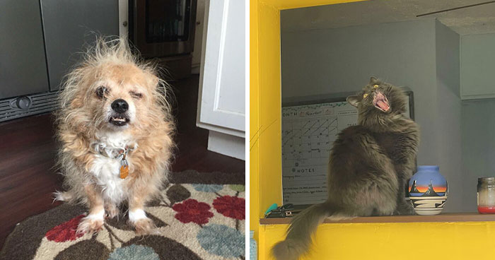 Mom’s Plan To Control Her Daughter’s Wedding By Forcing Her To Uninvite Her Dad Backfires Horribly