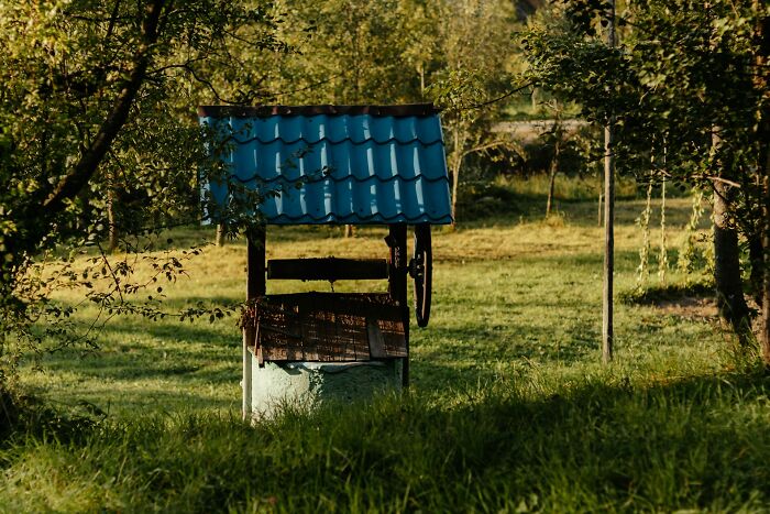 Old water well with blue roof in a grassy area surrounded by trees on a sunny day, not related to shipping containers.