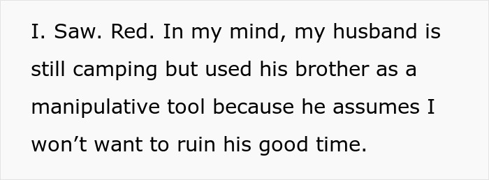 Text excerpt showing a wife&rsquo;s thoughts on her husband&rsquo;s camping trip with his brother and possible manipulation.