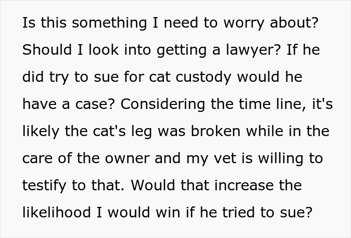 Text discussing concerns about legal action for cat custody involving a lost cat and broken leg evidence from a vet. Text discussing concerns about legal action for cat custody involving a lost cat and broken leg evidence from a vet.