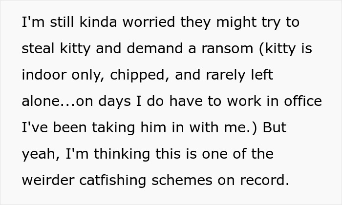Text discussing worry about a lost cat being stolen and a possible ransom demand in a strange catfishing scheme. Text discussing worry about a lost cat being stolen and a possible ransom demand in a strange catfishing scheme.