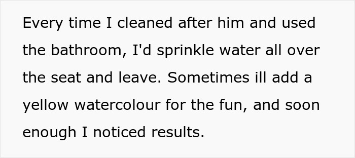 Text describing a sister&rsquo;s method to shame her brother for leaving stains on the toilet seat by sprinkling water and adding color.