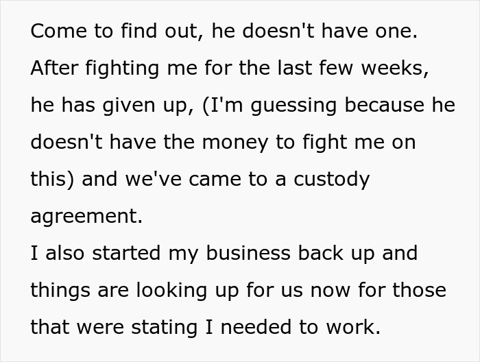 Text excerpt about custody agreement and SAHM wife starting a business after financial problems and divorce.