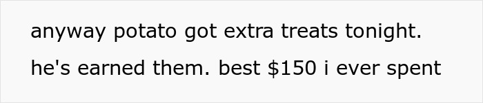 Trecho de texto mostrando um comentário casual sobre uma batata recebendo guloseimas extras e valendo uma despesa de US$ 150.