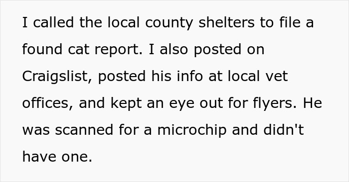 Text explaining efforts to find a lost cat, including contacting shelters and checking for a microchip, street survivor cat story. Text explaining efforts to find a lost cat, including contacting shelters and checking for a microchip, street survivor cat story.