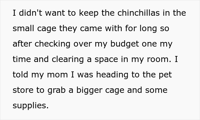 Teen caring for gifted chinchillas sets up bigger cage and proper supplies, facing mom’s frustration over not settling. Teen caring for gifted chinchillas sets up bigger cage and proper supplies, facing mom’s frustration over not settling.