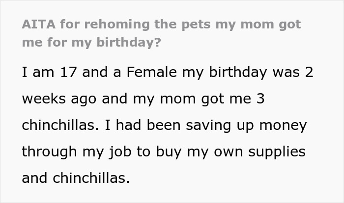 Teen caring for gifted chinchillas, striving to provide a proper life while facing mom&rsquo;s frustration over settling.