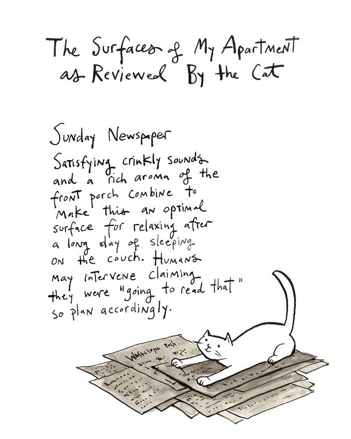 Cat curled up on laptop in a comic by Dana Jeri Maier, highlighting humor in modern life and technology use.