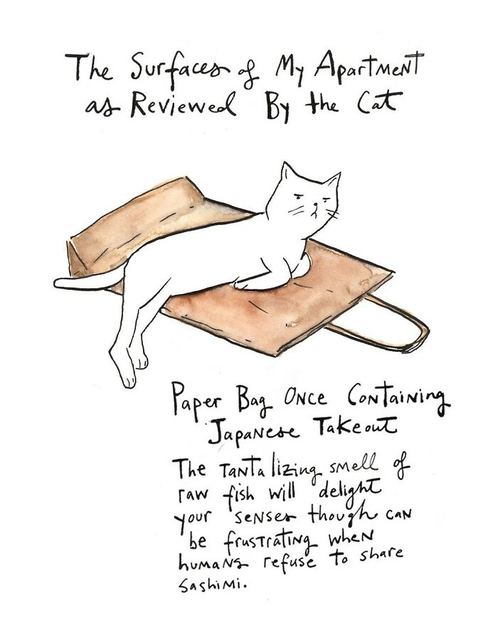 Cat curled up on laptop in a comic by Dana Jeri Maier, highlighting humor in modern life and technology use.