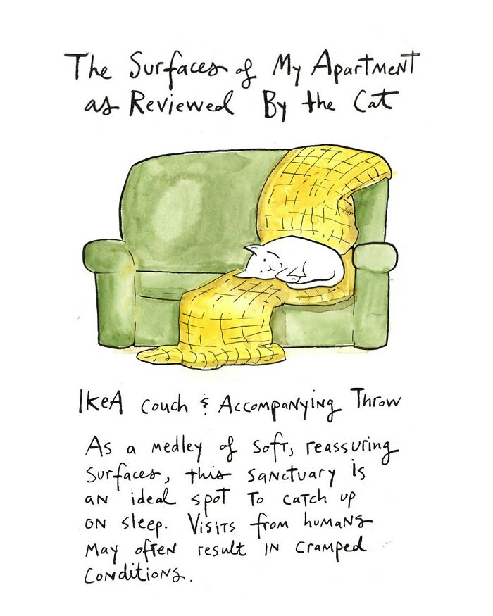 Cat curled up on laptop in a comic by Dana Jeri Maier, highlighting humor in modern life and technology use.