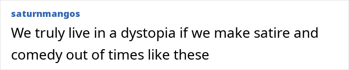 Comment on social media discussing satire and comedy related to Michael Che's controversial ICE joke on SNL.