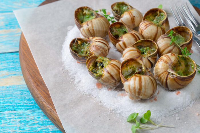 Plate of escargot with garlic butter and herbs on salt bed, representing disgusting local delicacies from around the world.
