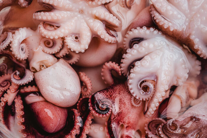 Close-up of raw octopus tentacles showcasing one of the disgusting local delicacies in unusual global cuisines.