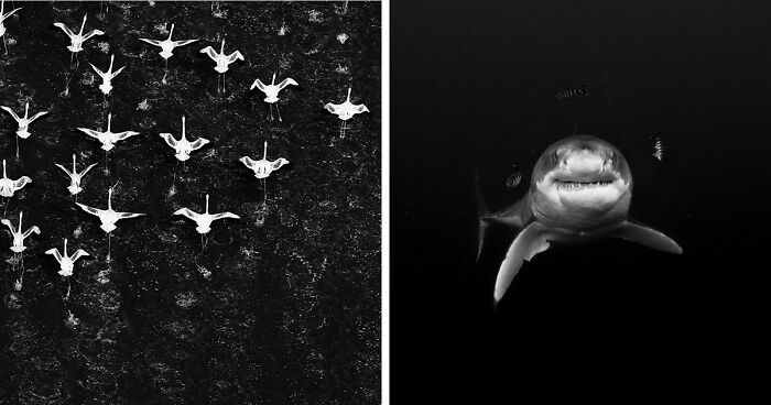 45 Breathtaking Aerial And Underwater Photos From The Exposure One Awards