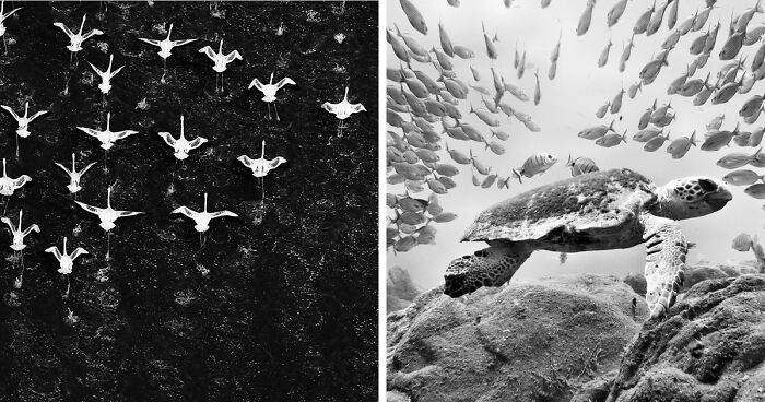 45 Breathtaking Aerial And Underwater Photos From The Exposure One Awards
