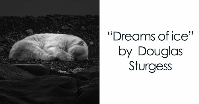 These 49 Black & White Nature Photos Prove You Don’t Need Color To Feel The Moment