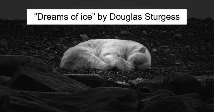 These 49 Black & White Nature Photos Prove You Don’t Need Color To Feel The Moment