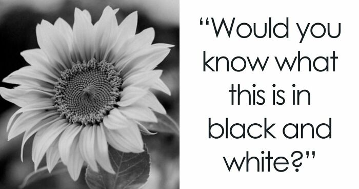 Guessing These 26 Items In Black & White Images Might Be More Difficult Than You’d Think