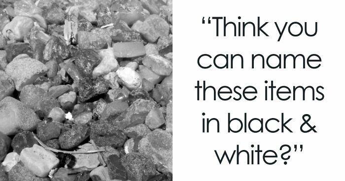 Guessing These 26 Items In Black & White Images Might Be More Difficult Than You’d Think