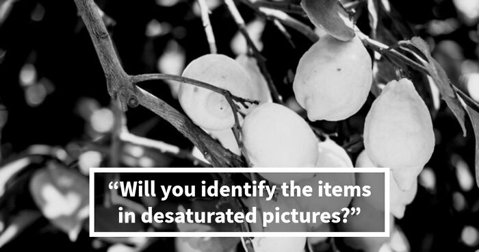 Guessing These 26 Items In Black & White Images Might Be More Difficult Than You’d Think