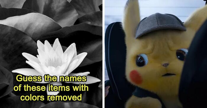 Guessing These 26 Items In Black & White Images Might Be More Difficult Than You’d Think