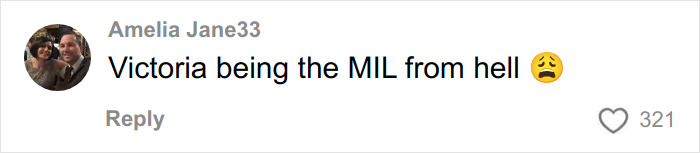 Comment by Amelia Jane33 expressing frustration about a family member, related to Brooklyn Beckham family feud online attack.