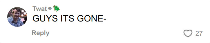 Comment on a social media post reading GUYS ITS GONE- by user T**t with a beetle emoji, showing 27 likes.