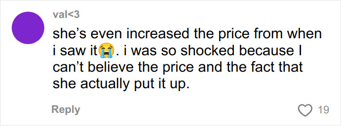 User comment reacting to a viral unhinged Vinted listing for a Dior handbag mentioning price increase and shock.