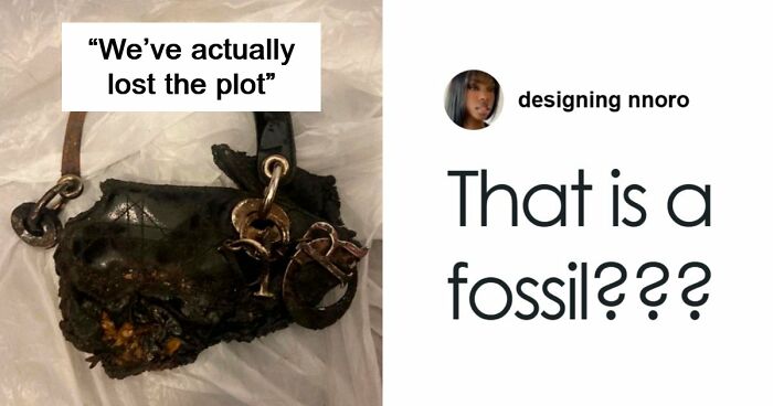 Someone Puts A Dior Handbag For Sale On Vinted, Accidentally Goes Viral