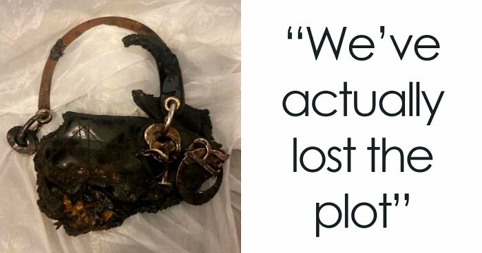 “It’s Cremated”: Unhinged Vinted Listing For A Dior Handbag Goes Viral — And People Can’t Keep It Together