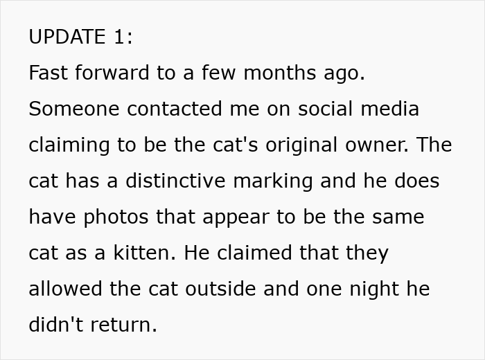 Text update about a lost cat’s original owner contacting via social media with matching photos and markings.