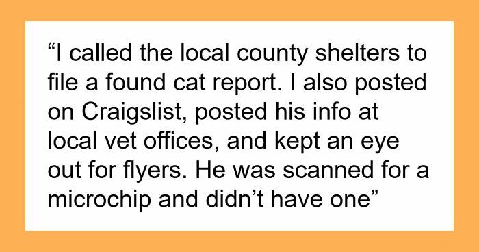 Person Finds And Cures A Cat, Then Starts Receiving Suspicious Letters Regarding The Pet Years Later