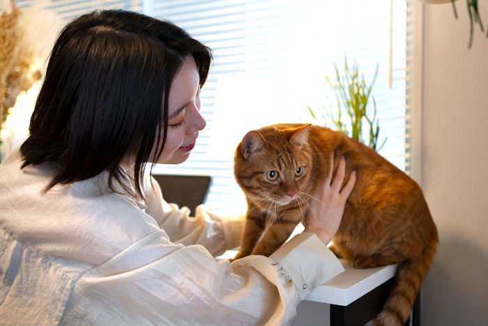Woman gently petting a lost cat turned family royalty indoors, reflecting a street survivor’s journey to safety.
