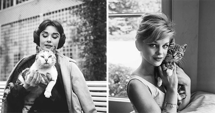 From Movie Stars To Unknown Cat Owners, Here Are 44 Vintage Photos Of Cats (New Pics)