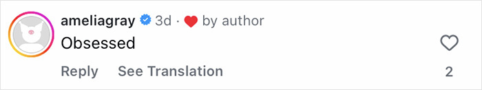 Comment on Instagram post by user ameliagray, featuring a verified badge and a heart emoji, expressing enthusiasm.