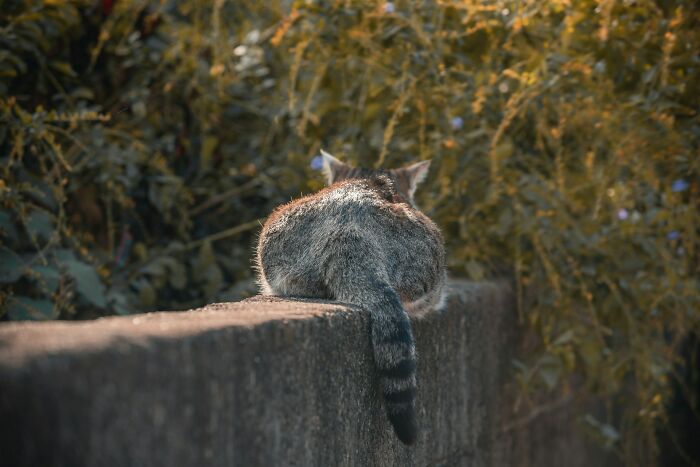 35 People Share Things That Are Normal In Their Country But Offensive Elsewhere