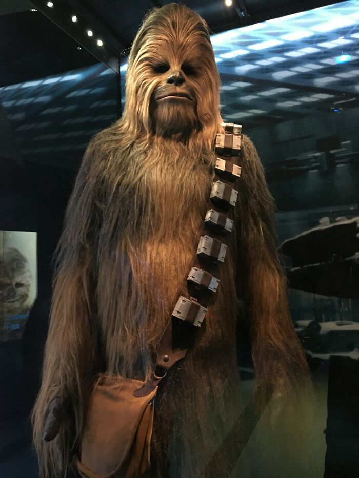 69 Stories Of 3 AM Chaos During The Night Shift That Made Workers Think, "I Don't Get Paid Enough For This"