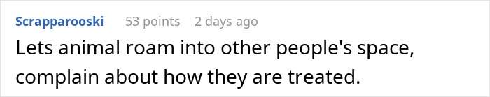 Woman Ignores Warnings About Not Feeding The Neighbors Cat, Learns Her Lesson The Hard Way